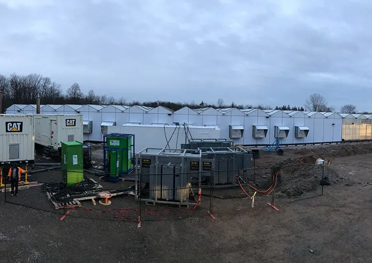 Rental power units and grounding installation at Niagara-on-the-Lake